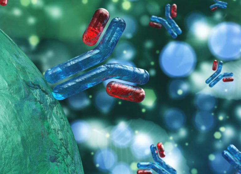 Antibodies – Pharmaceutical Specialty & Production Chemicals
